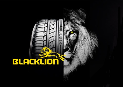 За полгода в США появилось сразу несколько новых брендов шин: Blacklion