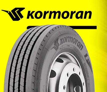 Зимние шины Kormoran: экономичное качество от Michelin: корморан