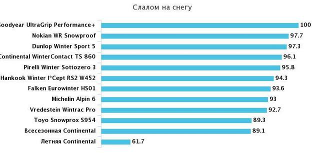 слалом по заснеженному треку