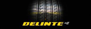 Delinte ds7 sport. Delinte dv2. Delinte шины лого. Износостойкие шины Delinte. Delinte Tyres логотип.