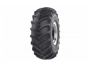 Шины Ascenso TDB 123 (с/х)