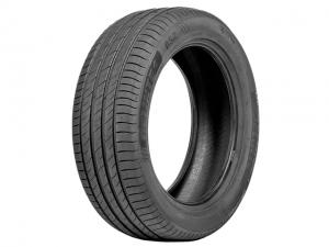 Шины Delinte DS2