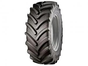 Шини Maximo Radial 65 (с/х)
