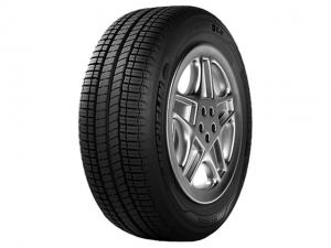 Шины Michelin Energy E-V