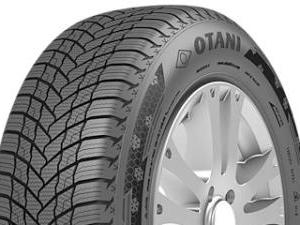 Otani WE-1000 195/65 R15 91H