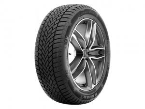 Шини Radar Dimax Winter