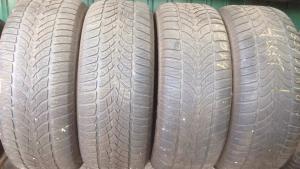 Dunlop SP Winter Sport 4D 255/55 R18 109H