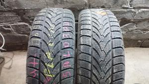 Platin RP 60 Winter 195/65 R15 остаток 5,5 мм
