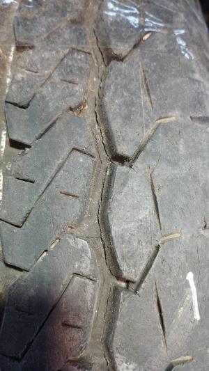 Lassa Transway 205/65 R16C 107/105R Demo остаток 8 мм